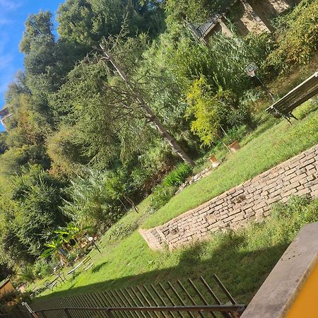 La Casa Di Nonna Peppina A Trastevere Roma Esterno foto
