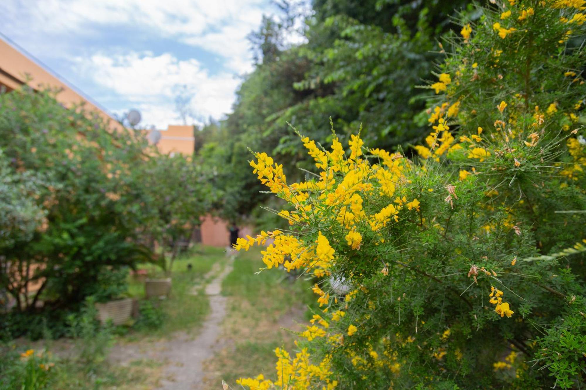 La Casa Di Nonna Peppina A Trastevere Roma Esterno foto